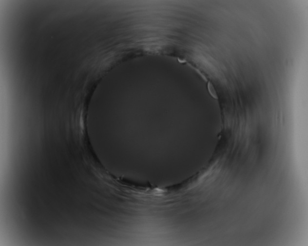 X0000092291106200709211208