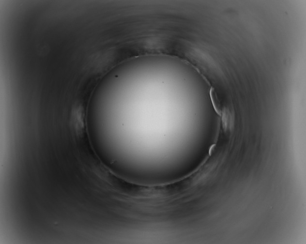 X0000092291107200709211208