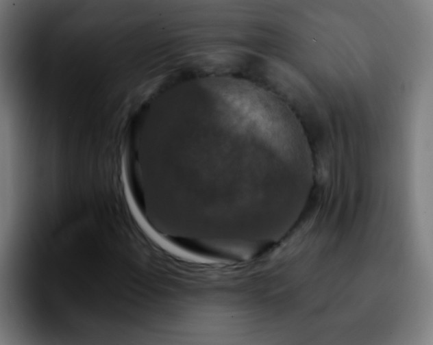 X0000092291108200709211208