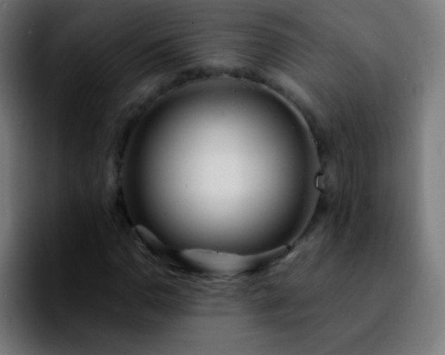 X0000092291110200709211208