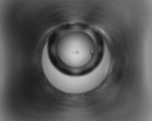 X0000092291112200709211208