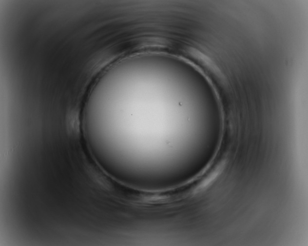 X0000092291113200709211208