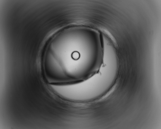 X0000092291114200709211208