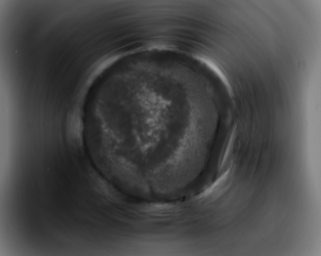 X0000092291115200709211208