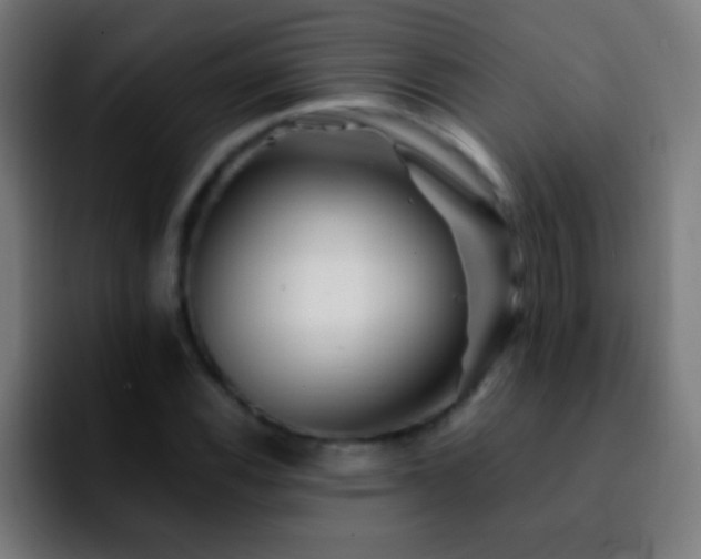 X0000092291116200709211208