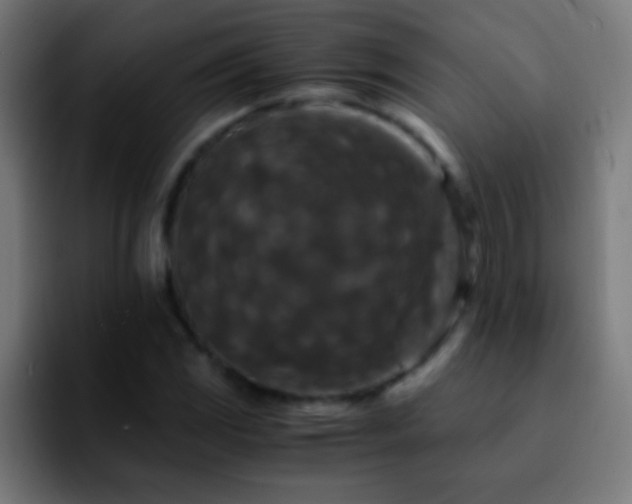 X0000092291117200709211208