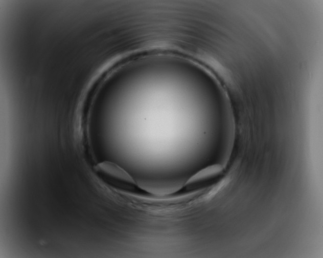 X0000092291118200709211208