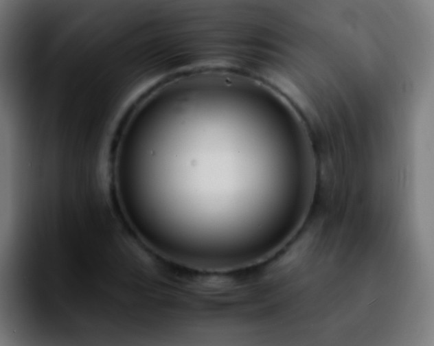 X0000092291119200709211208