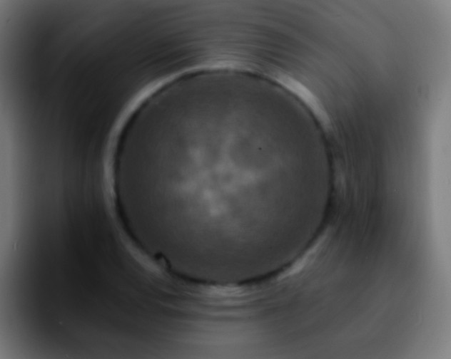 X0000092291120200709211208