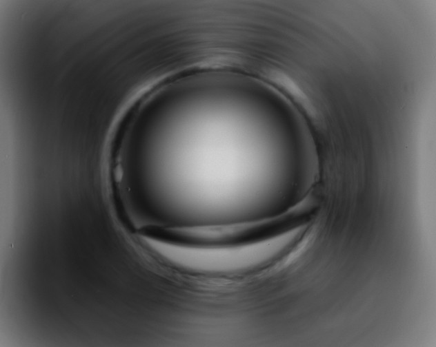 X0000092291122200709211208