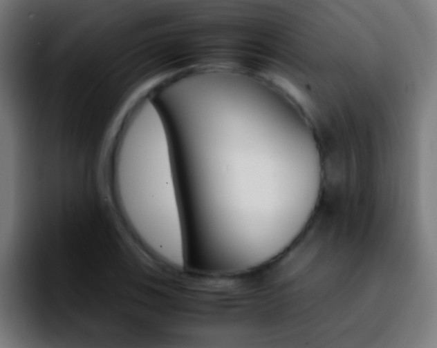 X0000092291123200709211208