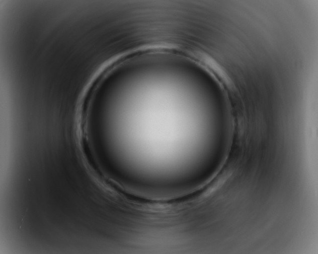 X0000092291124200709211208