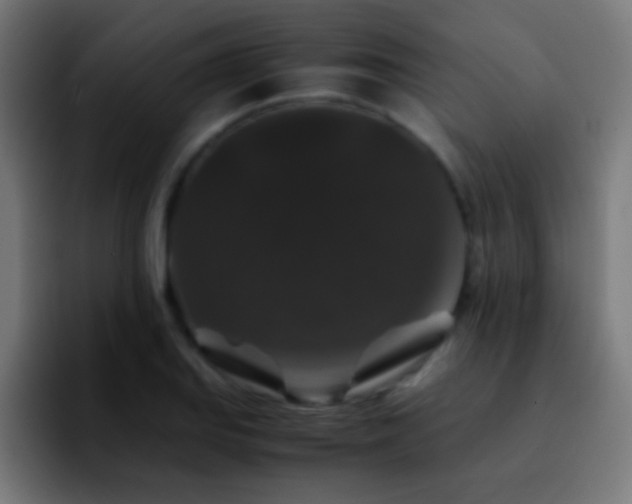 X0000092291127200709211208