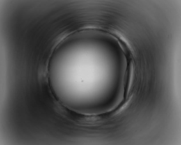 X0000092291129200709211208