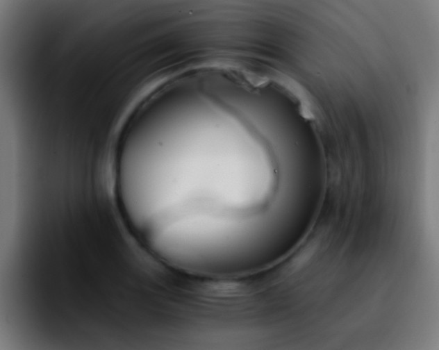 X0000092291131200709211208