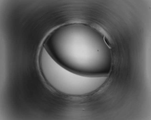 X0000092291132200709211208