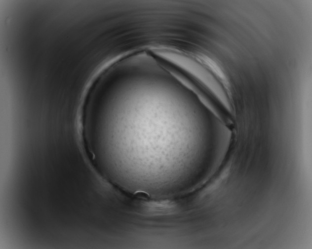 X0000092291133200709211208