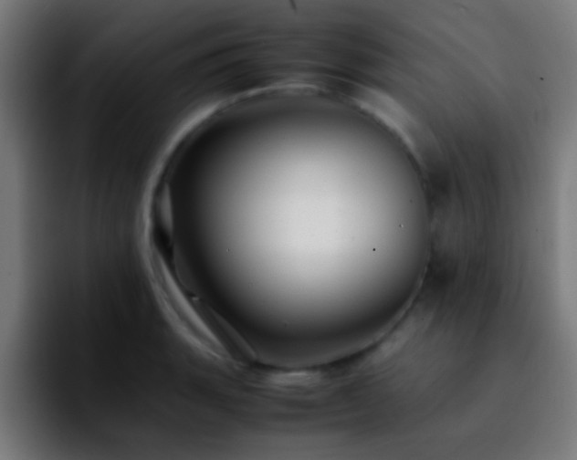 X0000092291135200709211208