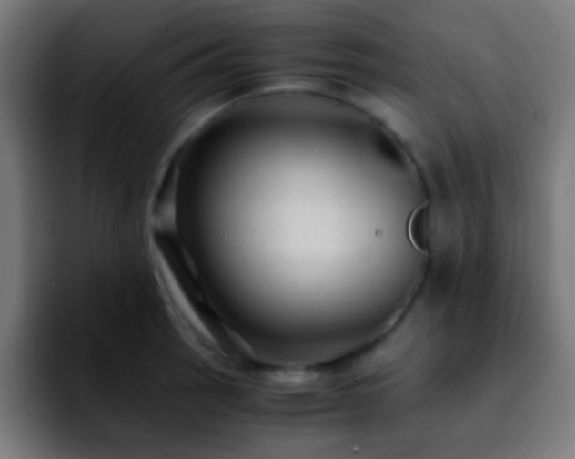 X0000092291137200709211208