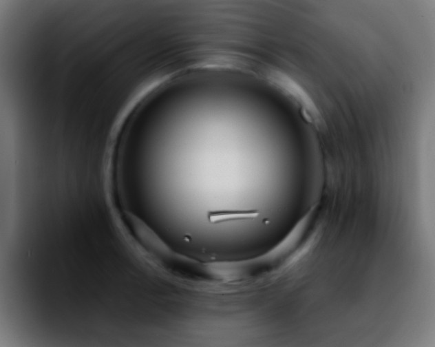 X0000092291138200709211208