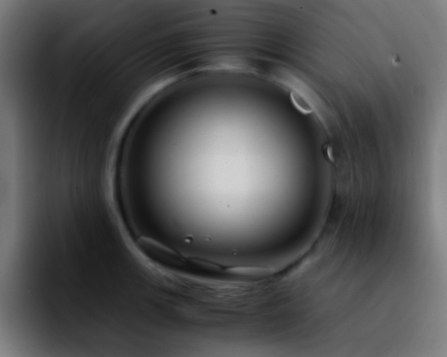 X0000092291139200709211208