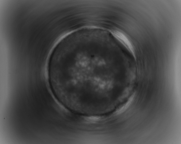 X0000092291141200709211208