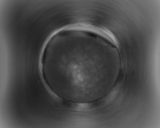 X0000092291144200709211209