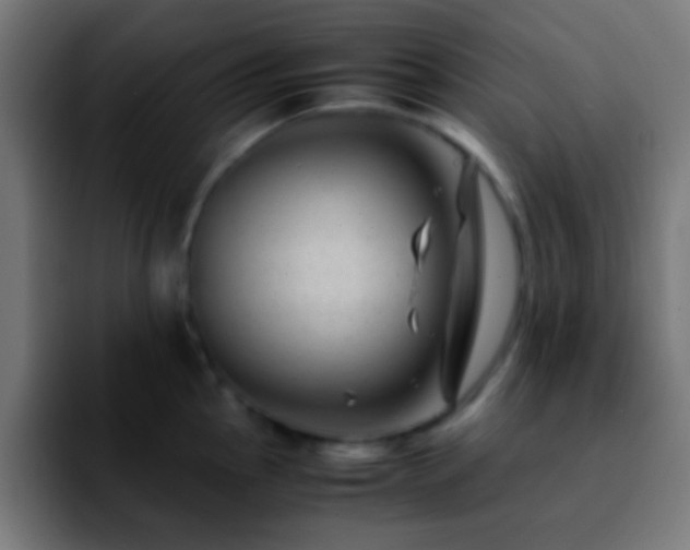 X0000092291145200709211209