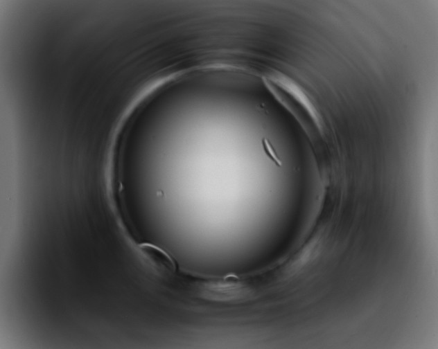 X0000092291147200709211209