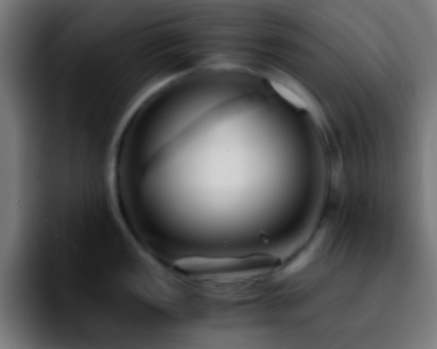 X0000092291149200709211209