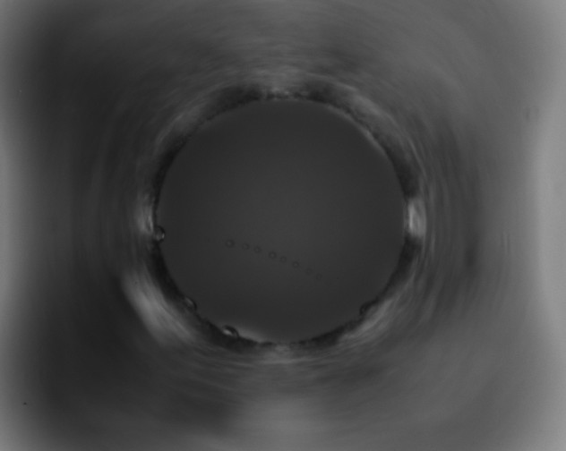 X0000092291155200709211208