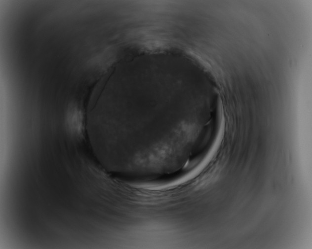 X0000092291156200709211208