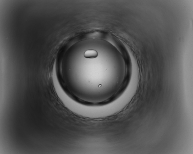 X0000092291157200709211208