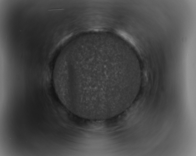 X0000092291158200709211208