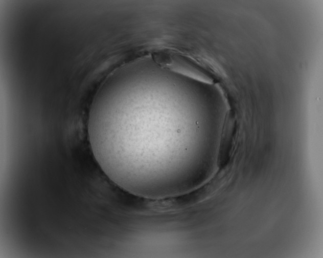 X0000092291159200709211208