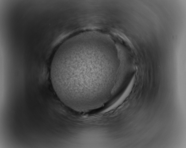 X0000092291160200709211208