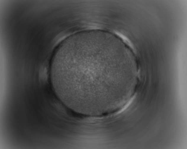 X0000092291163200709211208