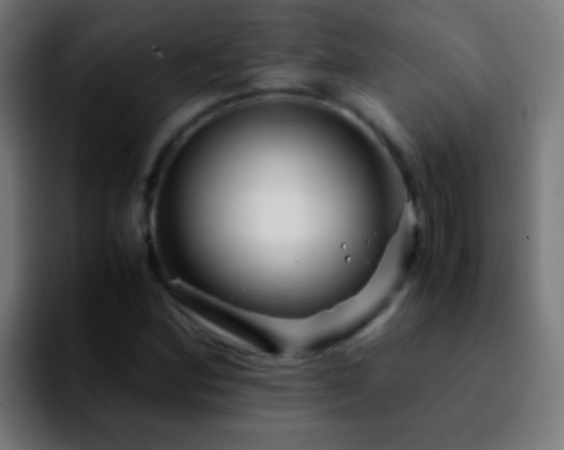 X0000092291164200709211208