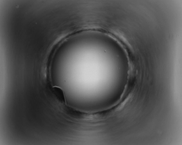 X0000092291165200709211208