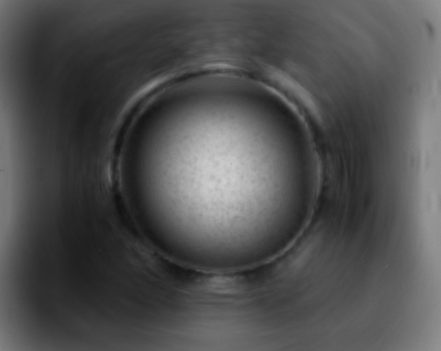 X0000092291166200709211208