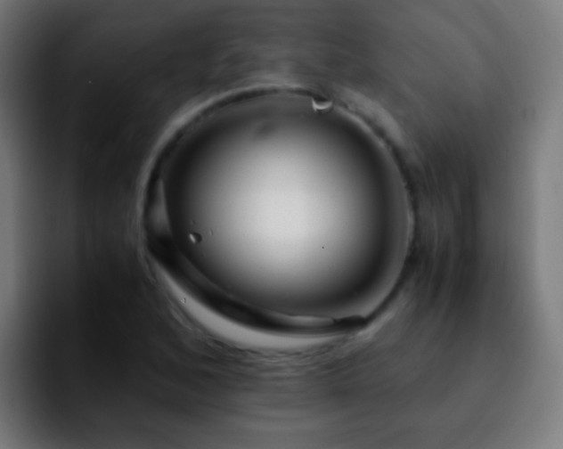 X0000092291168200709211208