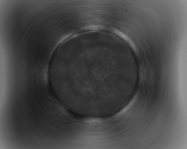 X0000092291170200709211208