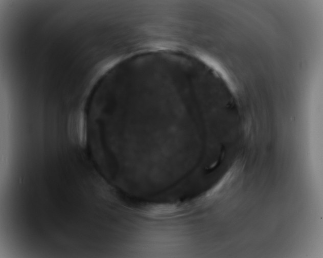 X0000092291171200709211208