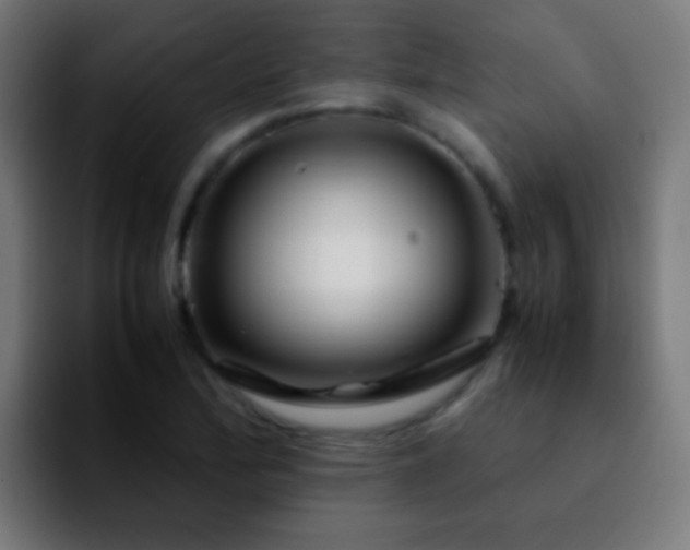 X0000092291172200709211208