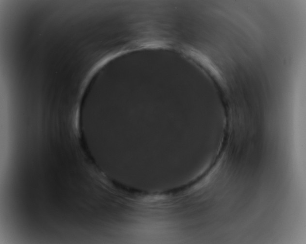 X0000092291174200709211208