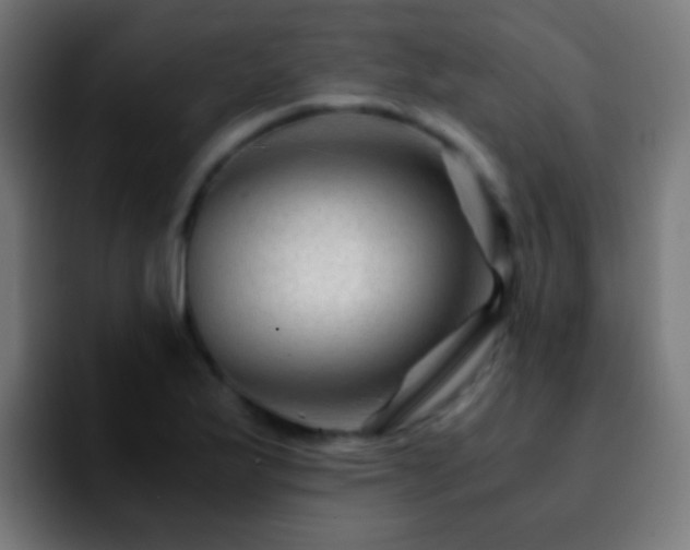 X0000092291175200709211208