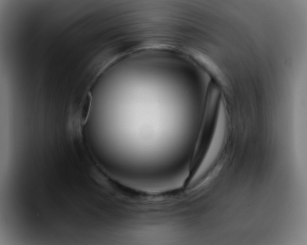 X0000092291177200709211208