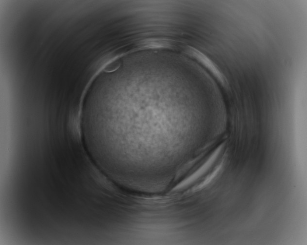 X0000092291178200709211208