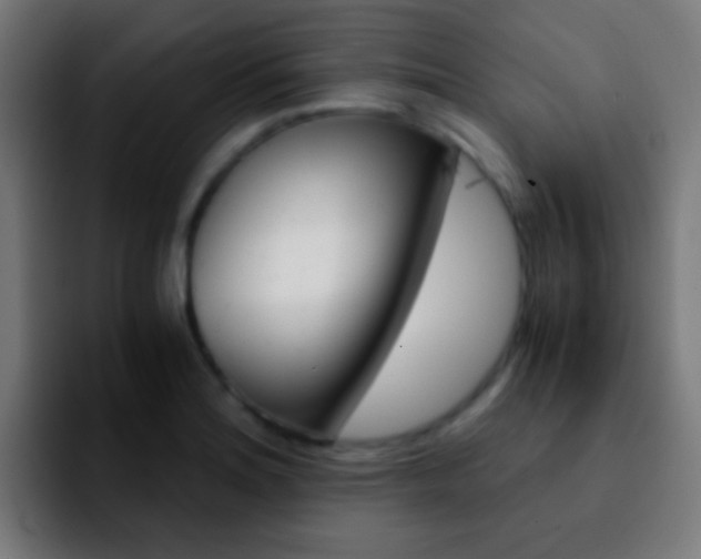 X0000092291180200709211208