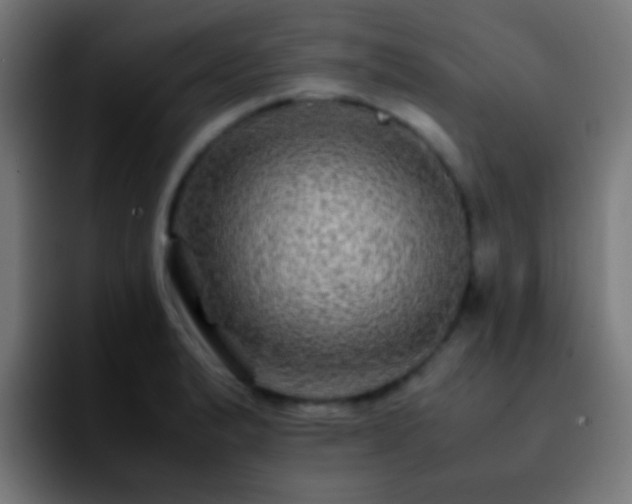 X0000092291183200709211208